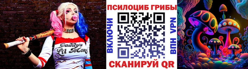 Купить где  Звенигород  Псилоцибиновые грибы Psilocybe 